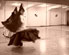 Laura M. de Gaspari - Egyptian dance
